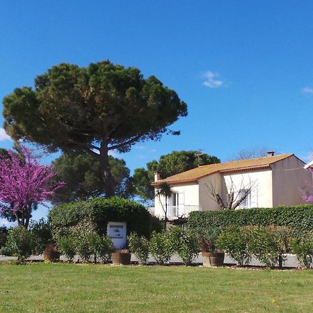 A L'Oree Des Vignes Montady Экстерьер фото