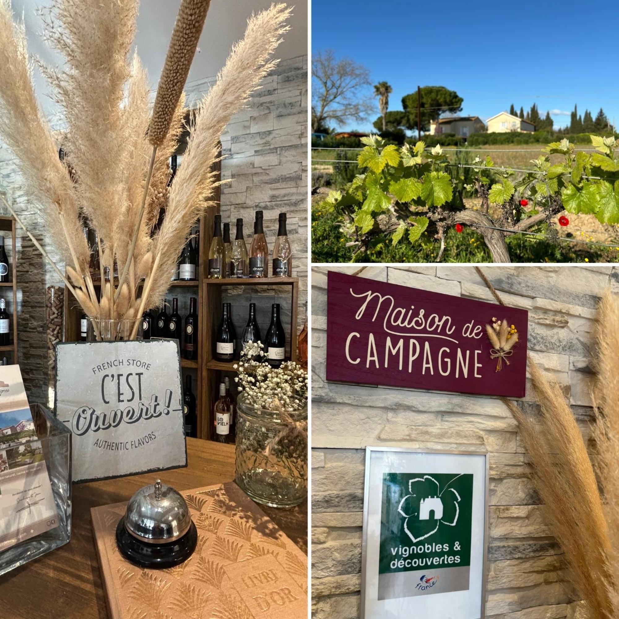 A L'Oree Des Vignes Montady Экстерьер фото